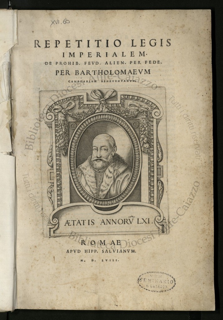 VIAE010672