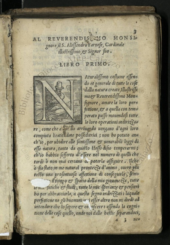 BVEE008011
